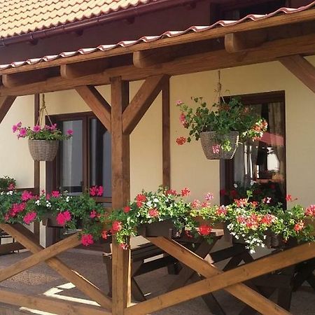 Domek Piotr 2 Stegna  Bagian luar foto